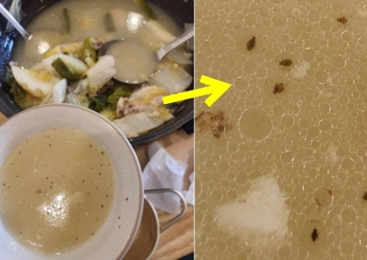 "'깨'인 줄 알고 먹었는데, 충격"…닭한마리 국물에 벌레 '둥둥'