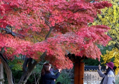 [이미지 다이어리] 추억은 오래 오래