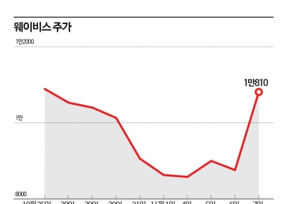 웨이비스, 美·日 전략핵심물자 국산화로 '우주항해' 시대 동참