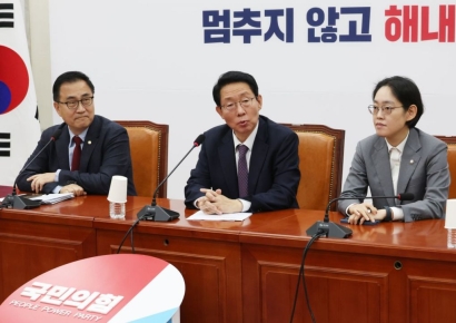 與, "반도체특별법에 '정부 보조금 등 재정지원' 포함할 것"(종합)