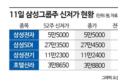 삼성그룹株 수난시대, 줄줄이 신저가에 하루 새 시총 12조 증발