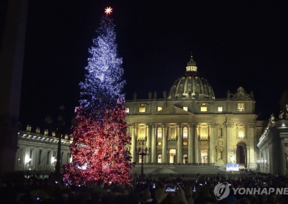 바티칸 성탄 트리, '반대' 왜?