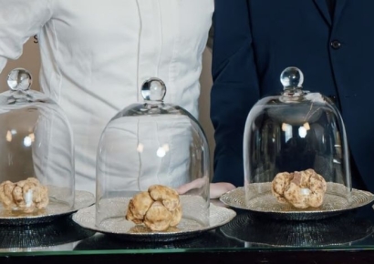 버섯 하나 가격이 2억원…억 소리나는 '땅속 다이아몬드'