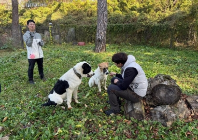 대통령실, 서울대공원 보낸 '투르크 국견'에 "훌륭하게 적응 중"