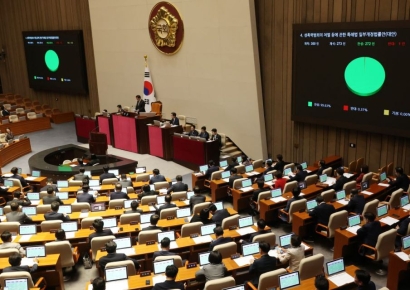 성인 대상 디지털 성범죄 위장수사 허용…성폭력처벌법 국회 통과