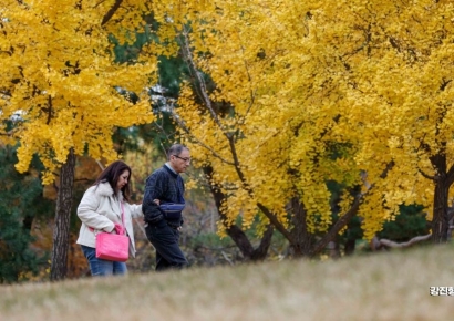 [포토] '산책하기 좋은날'