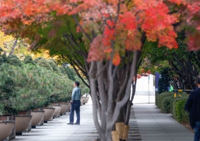 [포토] '단풍길 걷기 좋은 날씨'