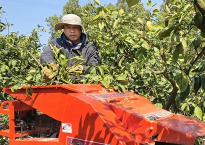올해 베트남 근로자 13만명 해외로…한국行 3번째로 많아