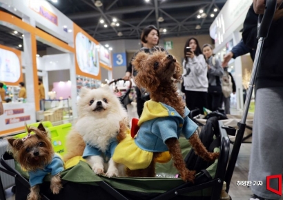 [포토] '메가 주(zoo)' 반려동물 박람회 구경 나온 견공들