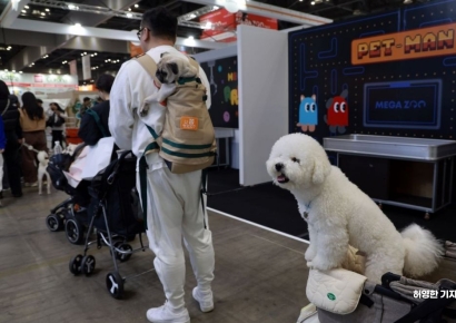 [포토] 박람회 구경 나온 견공들