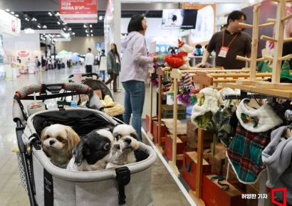 [포토] 강아지 옷 구경하는 강아지들
