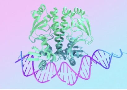 무료로 풀린 노벨상 기술…신약개발 게임체인저 되나[과학을 읽다]