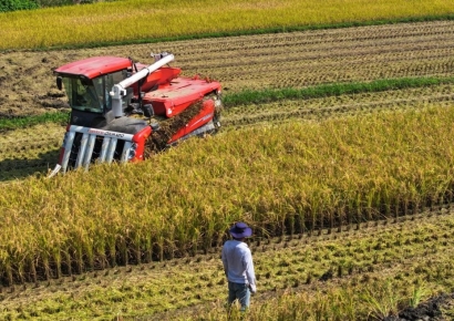 쌀 과잉생산 구조 깬다…'벼 재배면적 조정제'로 8만㏊ 감축