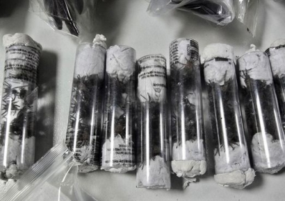 '간도 크네 무려 320마리를'…한국인 페루에서 독거미 밀반출 시도하다 적발