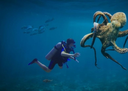 "인류 멸망하면 지구는 '이 동물'이 지배할 것"