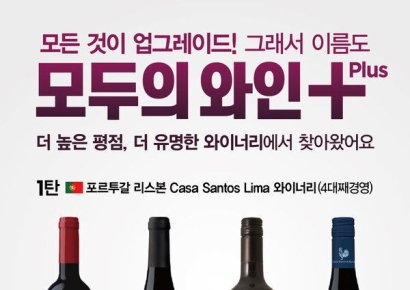 하정우도 마시는 '그 와인'…불황에 초저가 와인 뜬다