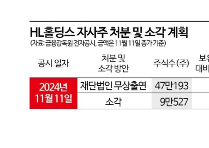 "자사주 건들지 마라" 성난 주주들…HL홀딩스 재단출연 논란