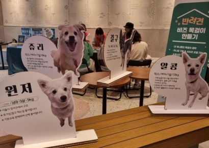 [르포]스타벅스·동행 “우리집 댕댕이 목에 전화번호 걸어주세요”