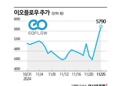특허 소송에 지친 이오플로우, 자금조달 숨통 트이나 
