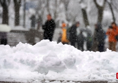 [포토] 20cm 내린 첫눈