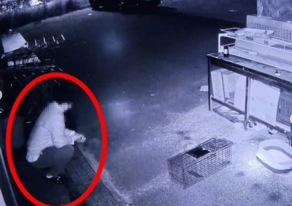 천안 길고양이 학대범은 유명 셰프…논란 후 SNS 폐쇄