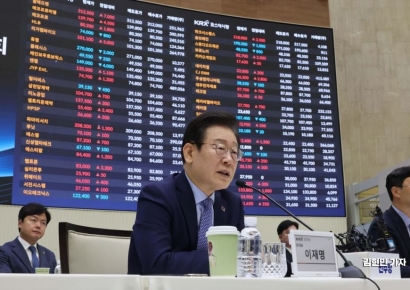 민주당, '상법 개정안'에 엇박자?…이재명 "핀셋 규제가 맞아"