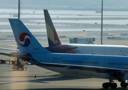 항공사 M&A에 얼라이언스 들락날락…마일리지 혜택도 바뀐다