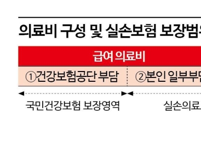 대수술 나선 정부…이달 공청회 거쳐 개혁안 발표[실손보험금이 샌다]⑤