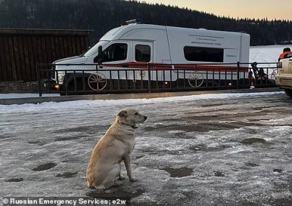 4일간 한자리서 얼음 강물에 빠진 주인 기다린 '망부석' 반려견