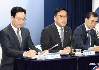 정부, 상장사 4가지 행위에만 '주주 보호'