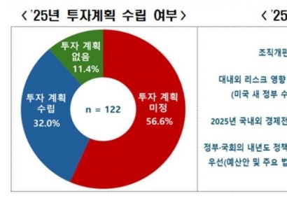 "대기업 10곳 중 7곳, 내년 투자계획 없거나 미정"