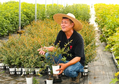 [콘텐츠커머스]'식집사' 입덕 유튜버 …"꽃 심듯 영상 찍었죠"