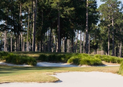 LPGA투어 ‘Q 시리즈’의 모든 것