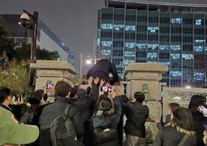 "한국, 도대체 어떤 곳일까"…계엄사태 지켜 본 해외 누리꾼 '감탄'