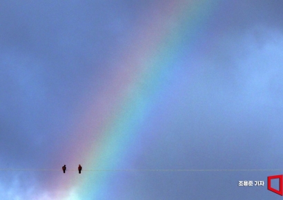 [이미지 다이어리] 무지개다리 걸터앉아