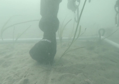 ‘잘피숲’을 아시나요?… 부산시, 신세계와 함께 사회가치경영 조성