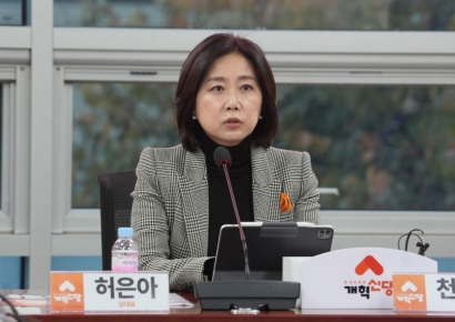 허은아, 개혁신당 대표직 상실…'당원투표 효력정지' 가처분 기각