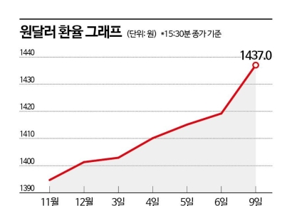 [실전재테크]'환율 푸어' 탈출법…달러통장 만들고 RP에 투자