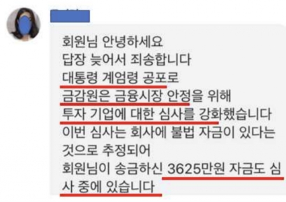 비상계엄 틈타 불법리딩방 기승…금감원, 소비자경보 발령