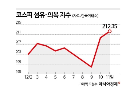 '정치 리스크' 버틴 의류株, 중국 부양·K컬처로 반등 노린다