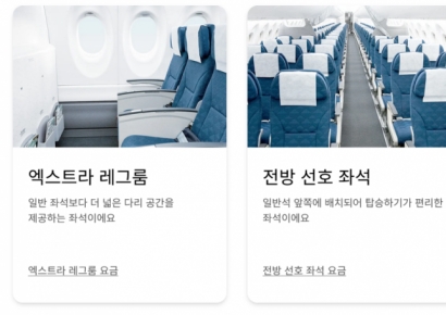 "비상구 좌석은 추가 결제" 대한항공, 국내선도 판매 개시