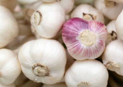 "중국산 마늘, 더럽고 위험해"…美 의원 저격에 中 부글부글