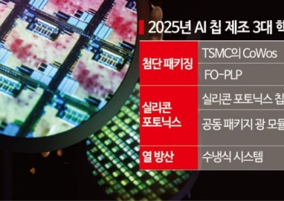 TSMC, 美공장 비용 폭탄에도 내년 매출 25% 성장? 이유는[대만칩통신]