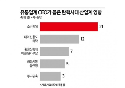 탄핵의 강…소비침체 '격랑' 속 K브랜드 수출도 발목