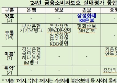 '삼성화재·KB손보·현대캐피탈' 금융소비자보호 실태평가서 '양호' 등급