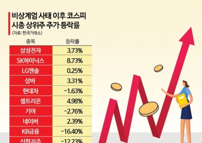 계엄·탄핵 정국 꿋꿋이 잘 버틴 시총상위주