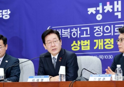 "배임신고 年2000건…상법개정 재검토해달라"