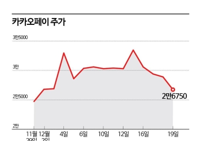 카카오페이, 계엄전 주가 회귀…'기관 물렸다'
