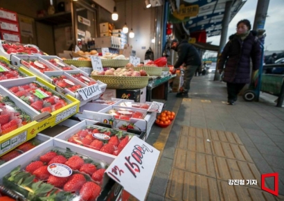 [포토] '무섭게 상승한 딸기 가격'