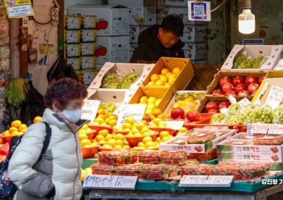 150% 넘게 오른 과일값…물가 지표 '안정적' 체감은 '글쎄' [조선물가실록]